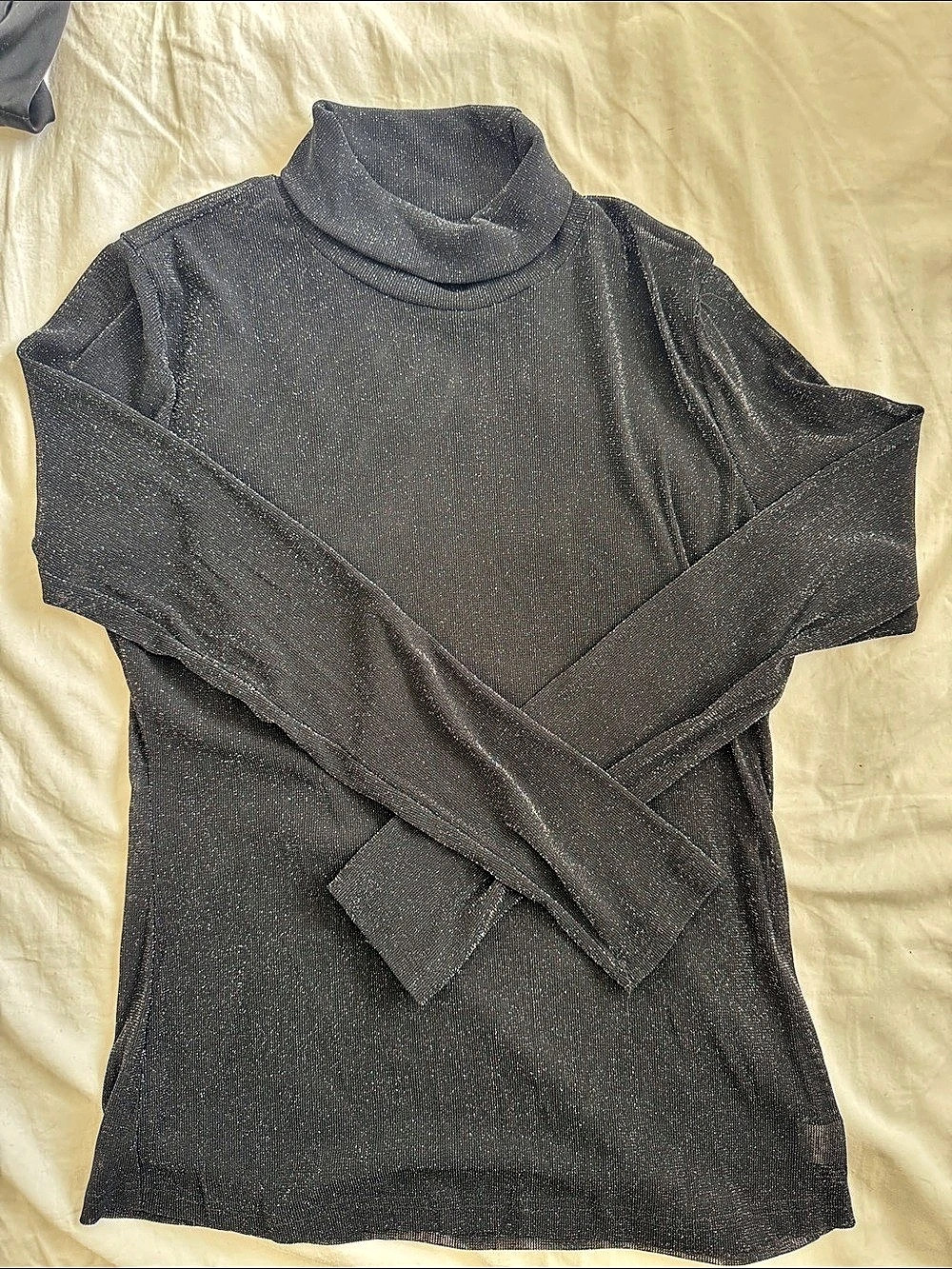 Sheer Black Turtleneck Long Sleeve Top